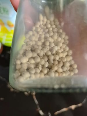 胡椒粉少许