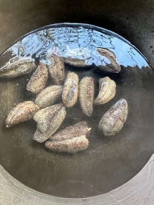 냄비에 정수된 물을 충분히 붓고, 준비된 해삼을 끓는 물에 요리용 술 1큰술과 생강 2조각과 함께 넣어 5분간 데쳐 비린내를 제거한 후 건져 물기를 빼줍니다.