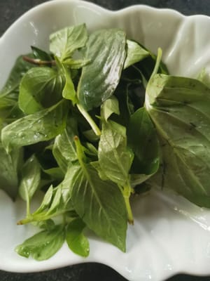 hold basil fingers