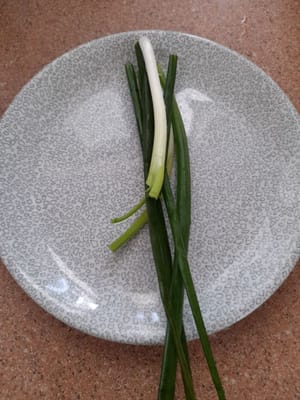 Frühlingszwiebeln