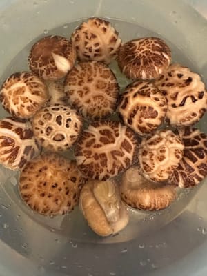 花菇先泡15分鐘、清洗乾淨、再用1湯匙食用油加水蓋過花菇、再淨泡十小時。