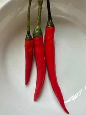 piccoli peperoncini rossi