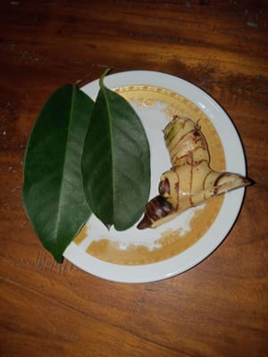 hojas de laurel, 2 cm de Laos, machacadas