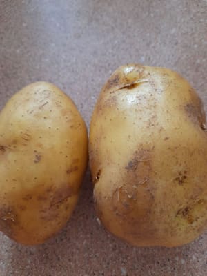 pelar las patatas, cortarlas en cuadritos y freírlas.