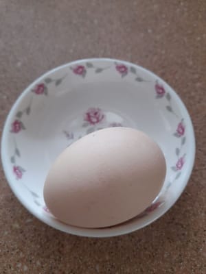 ไข่
