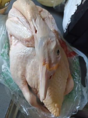 cola de pato