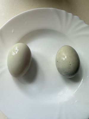 telur asin dan telur asin