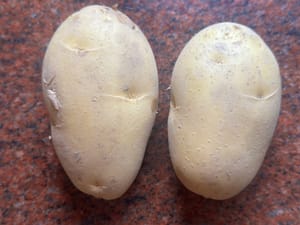 Pomme de terre