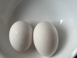 œuf