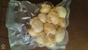 เห็ดโดนัท