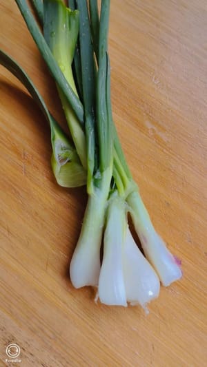 ต้นหอมสองต้น