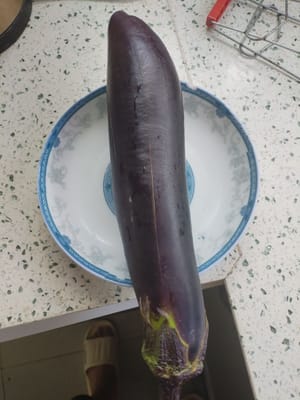 Eggplant