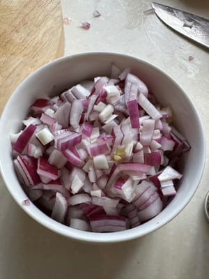 onion (chopped)