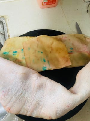 Per prima cosa, pulisci la cotenna del maiale dai peli. Se riesci a farla fare al macellaio, non farlo tu! Se il macellaio non riesce a farlo, puoi scottarla tu stesso usando un fornello a gas o scottandola in una padella calda. Promemoria: non toccare direttamente la cotenna del maiale, fai attenzione a non scottarti! Immergila in acqua tiepida per 10 minuti, quindi usa un coltello per raschiare via le parti carbonizzate. Questo passaggio è fondamentale per l'aspetto dell'aspic!