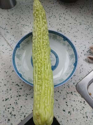 250 g de melon amer