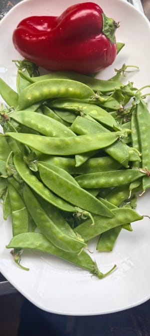 スナップエンドウ 300g、赤ピーマン 1/3 個。