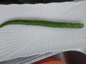 grüne Paprika