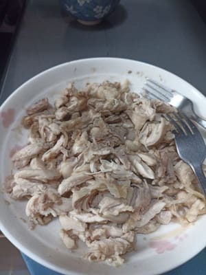 Luego desmenucé el pollo con un tenedor porque todavía estaba caliente.