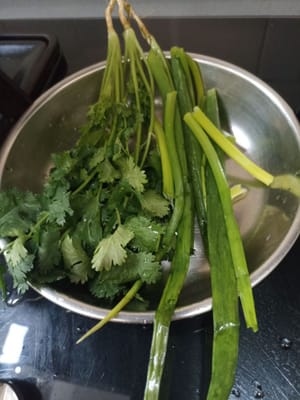 Hojas de cebolla y hojas de cilantro