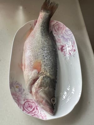 Si può cucinare anche il branzino, il pesce fresco