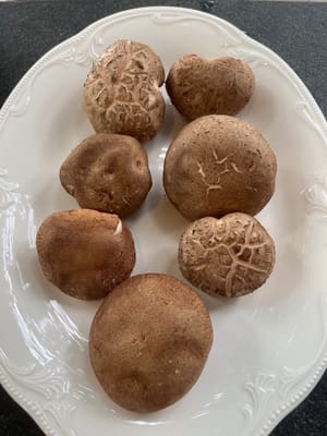 冬菇