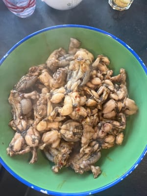 撈起田雞