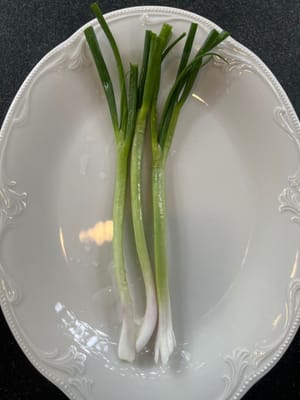 條蔥