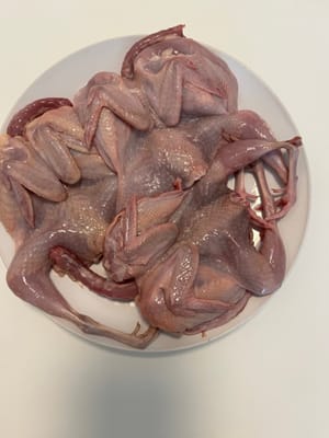 아기 비둘기 3마리