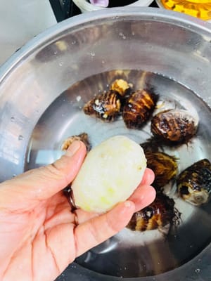 煮好的芋頭撈出嚟,丟冷水裡降溫。等不燙手了,直接用手撕掉外殼,是不是很簡單?(經過煮過的芋頭,處理起嚟就不會再咬(癢)你的了)