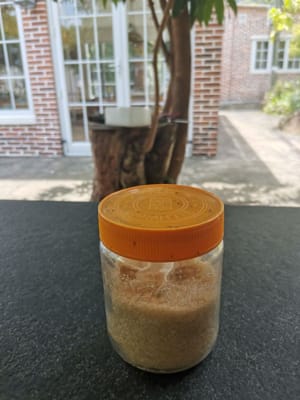 Sugar
