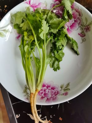 20 g de cilantro