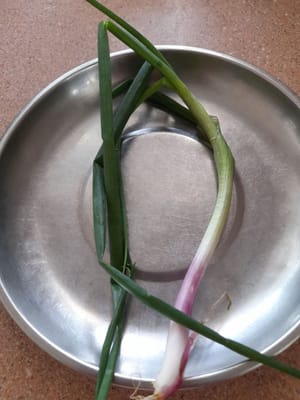 tallo de hojas de chalota