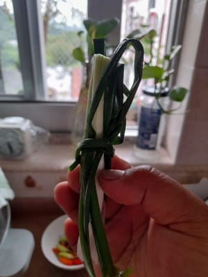 Ajo machacado grueso y cebolletas lavadas