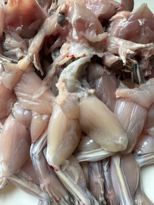 Zuerst die Ochsenfrösche gründlich waschen und die Füße entfernen.