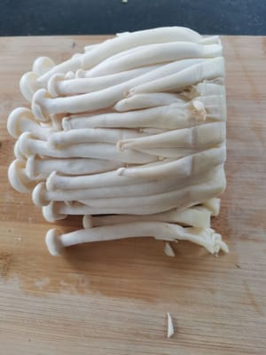 切掉蘑菇部分（尾部）