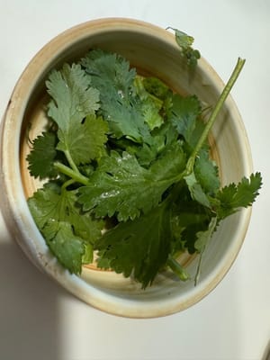 適量芫荽