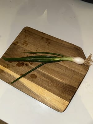 葱（焯水用）
