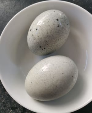 preserved eggs