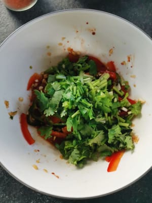 then stir and add sliced spring onions and coriander leaves