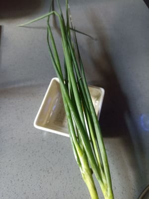 撒葱花