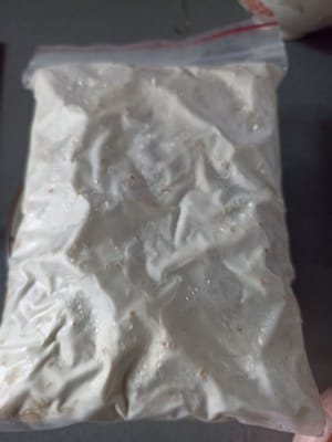 Tempeh 250g