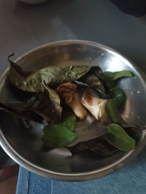 Lorbeerblätter, Limettenblätter, Chili und Galgant waschen