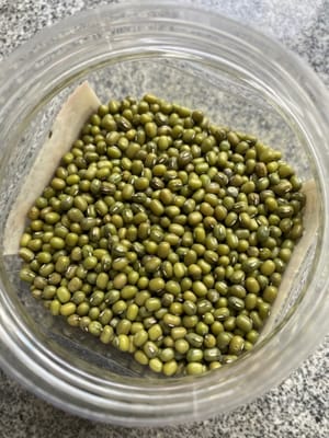Mungobohnen 50g