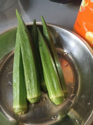 秋葵种子