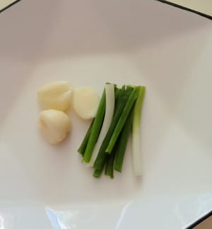 片大蒜兩根香蔥