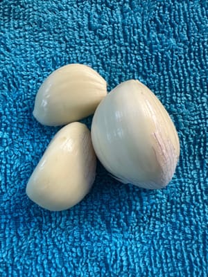 마늘 20g.