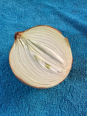 양파 반 개