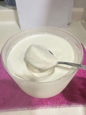 自制乳酪