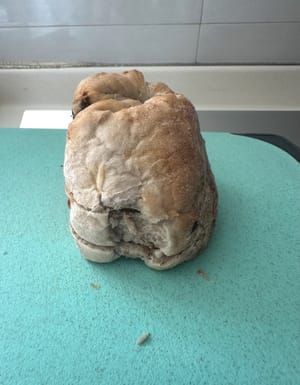 面包主食，可选择法包，我今天手头上只有这一款包将就用一下