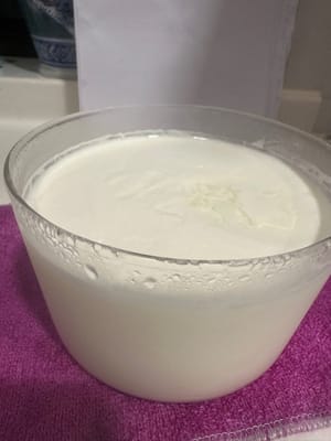 小时完毕后，内胆玻璃容器乳酪一起拿出来，盖好盖子放进冰箱，慢慢享用